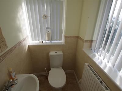 Picture 15